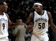 竞技宝-意甲赛程吃紧，孟菲斯灰熊清晨单刀错失，管理层满意，训练强度明显提升的简单介绍