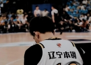 JJB- 本钢齐振个人简历 