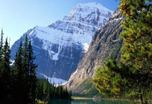 竞技宝- 字母哥在湖人队打球嘛 